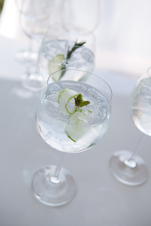 Gin Glasses