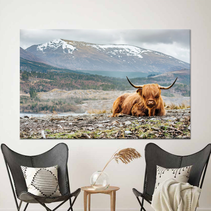 Impression sur toile de vache Highland, H: 11,9 po x l: 15,8 po