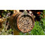 Wildlife World Mason Bee Barrel