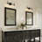 Froney 3-Light Black Dimmable Vanity Light