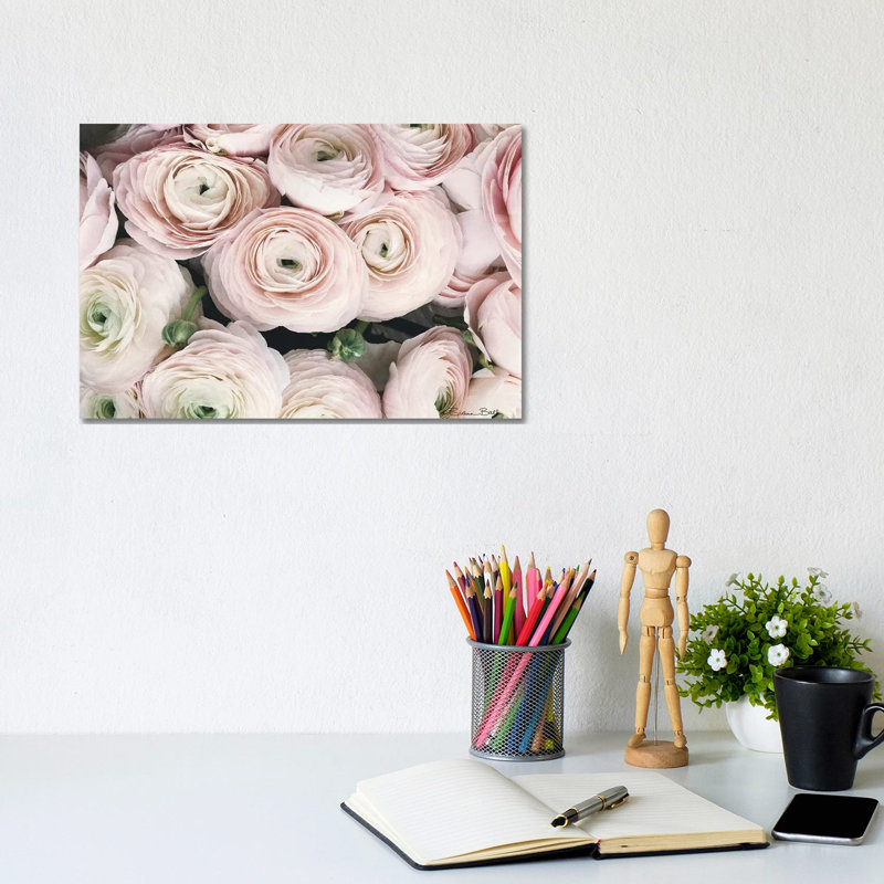 Soft Ranunculus, 20.32cm H x 30.48cm W