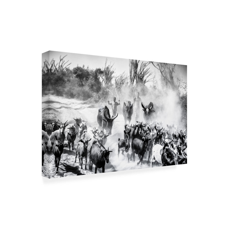 Art sur toile Marco Tagliarino, H 16 po x l 24 po