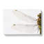 Dragonfly Vol.1 - Wrapped Canvas Print-61848900