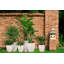 Ribbed Fibreglass Plant Pot-39262025-39354993