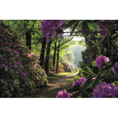 " Rhododendron Lane "