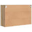 Shoe Cabinet-307641258