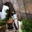 Brown Aluminum Shade Mesh