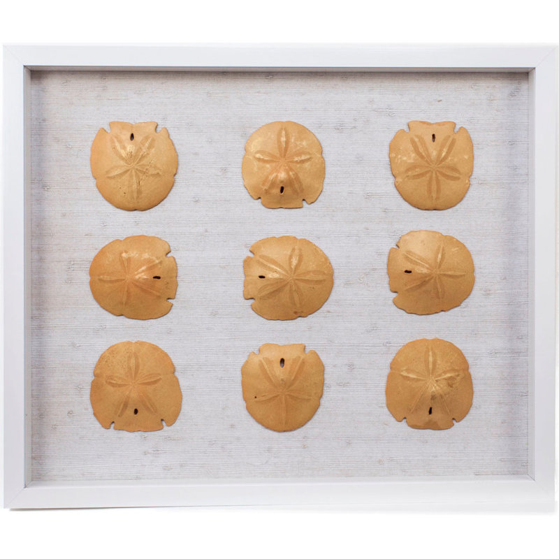 Sealife - Shadowbox, impression sur tissu