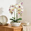 Orchidée artificielle en soie réaliste dans un vase en céramique, grand arrangement floral de phalaenopsis blanc pour la maison et la décoration
