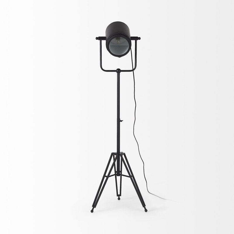 Cauley 61'' Tripod Floor Lamp, Black