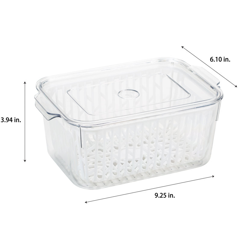 Clear Plastic Storage Container with Strainer