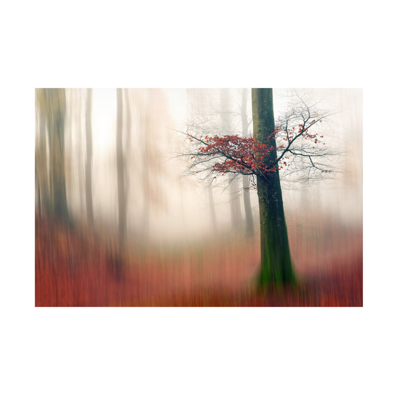 Art sur toile, feuilles rouges et chemin caché, H 12 po x l 19 po