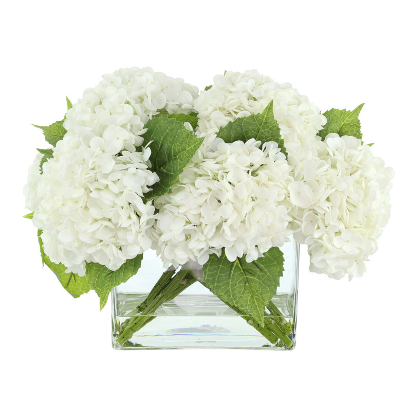 Véritable hydrangée dans un vase en verre, Blanc