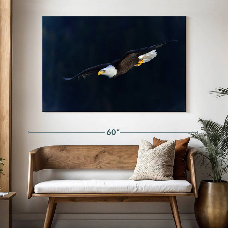 Brampt Aerodynamic Eagle, 34" H x 51" W