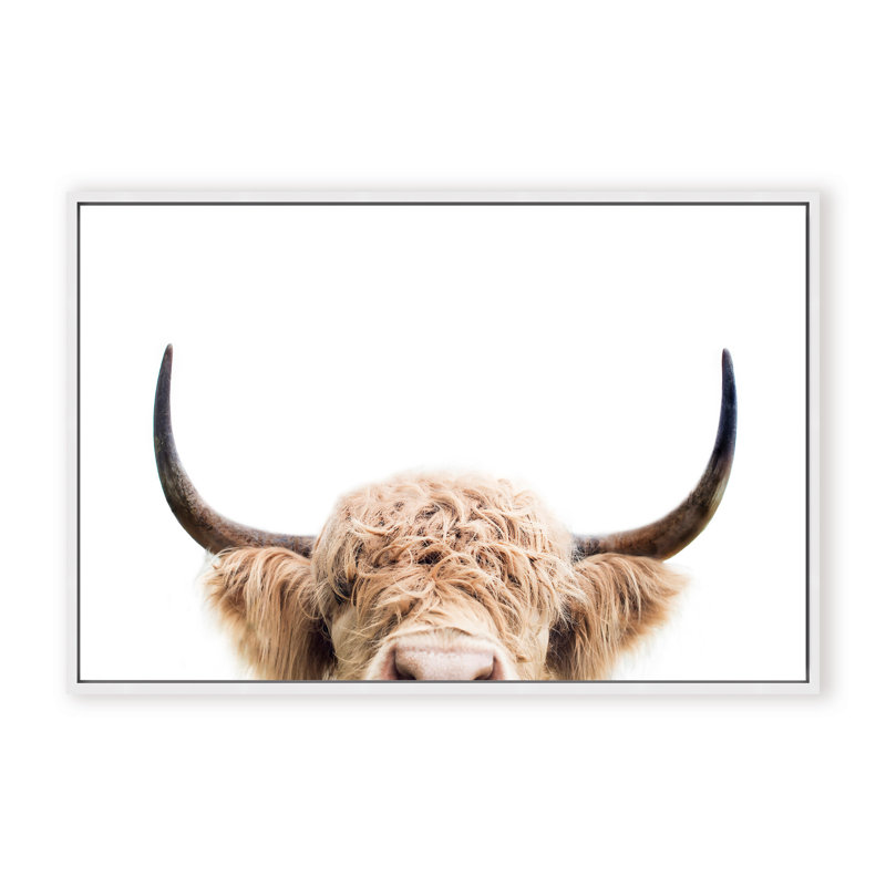 Nature Inspired Peeking Cow by  - Picture Frame Photograph on Paper, 32" H x 48" W x 1.125" D, Black, Framed Print