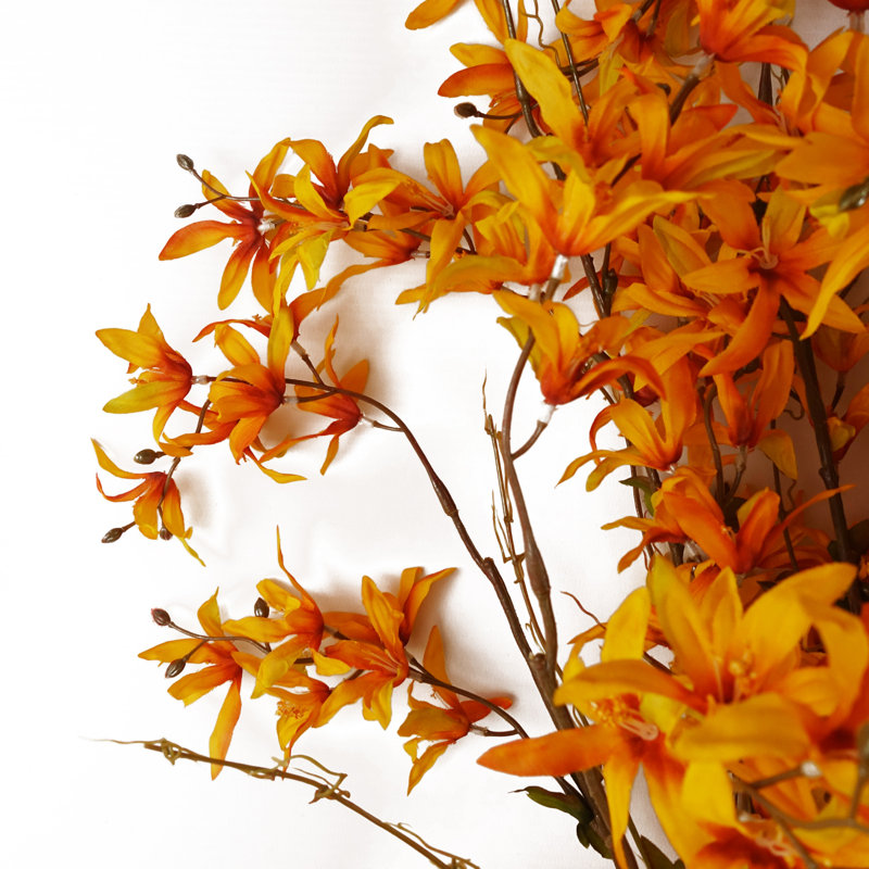 Aneris Arrangement