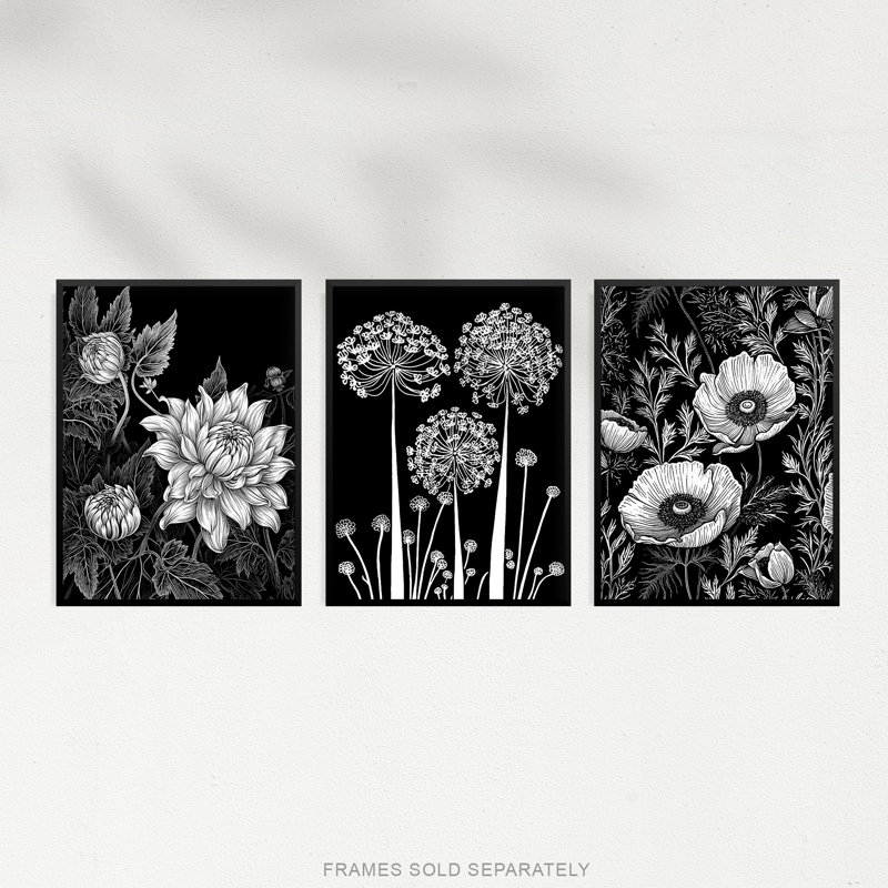 Elegant Single Allium Anemone Dahlia Flowers Black White - 3 Piece No Frame Print Set, 40.5cm H x 30.5cm W x 0.3cm D