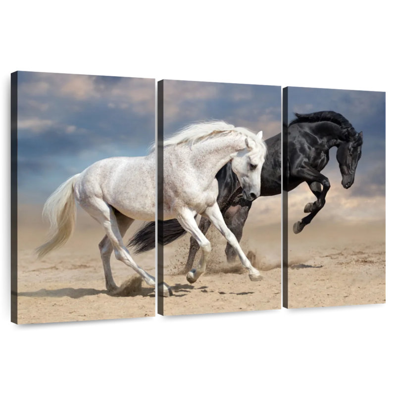 Chevaux noirs et blancs Brampt, H 20 po x l 33 po