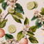 Papier peint floral à motif floral d'agrumes