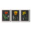«Midnight Tulip IV», ensemble de 3 peintures sur toile encadrées-1117917255-1117917249