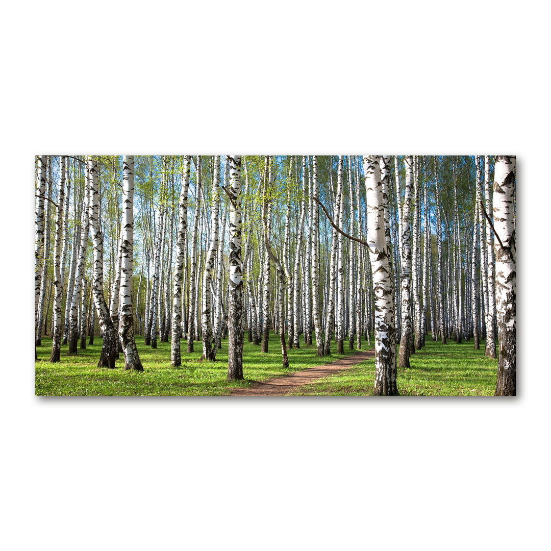 Glasbild Birch Forest