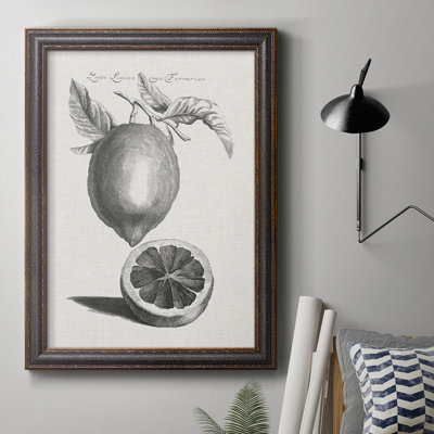 Antique citrons et oranges III - reproduction d'art sur toile