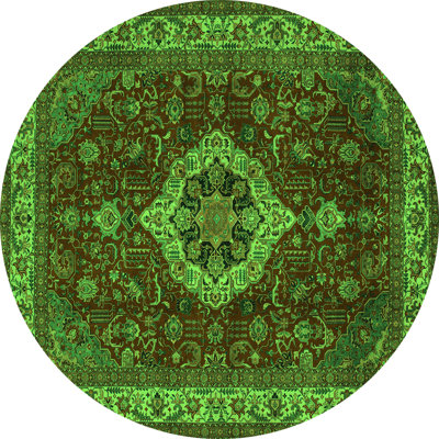 Andreyna Performance Oriental Indoor Rug
