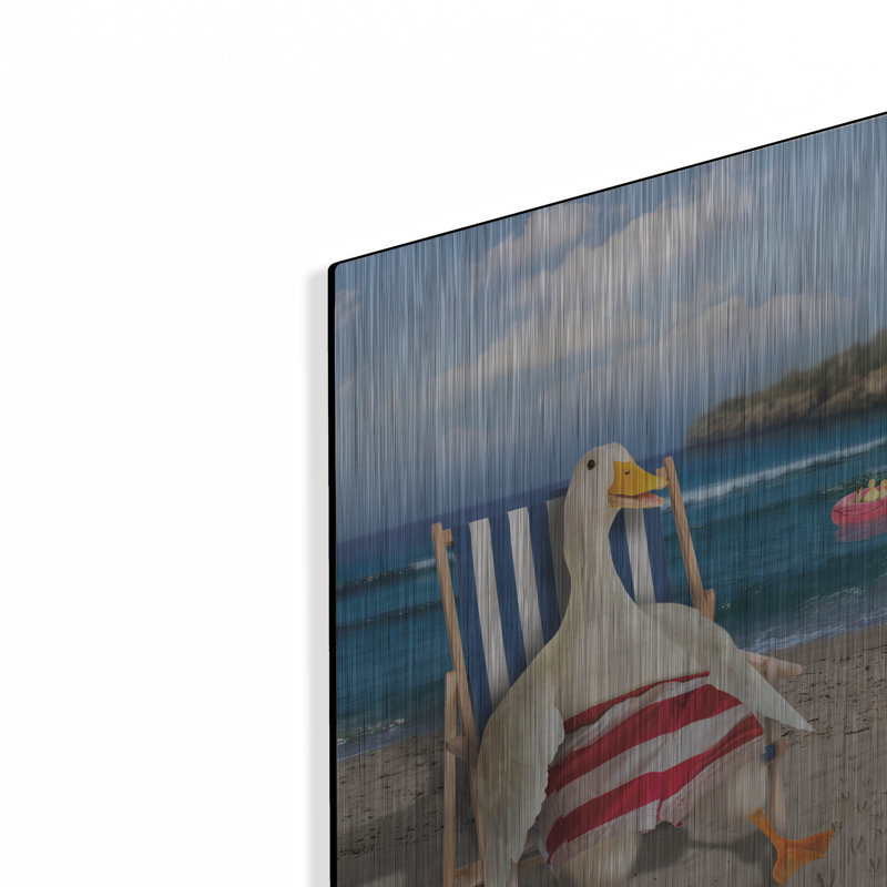  «Duck Sunbathing» par John Hovenstine, art mural en métal, 12 po x 16 po, H 16 po x l 12 po