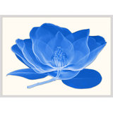 Efflorescence Print by Lillian August