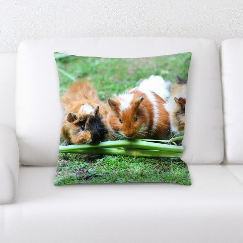 Housse et insert de coussin carré cochon d'Inde