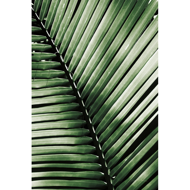 Palmier I vert, H 48 po x l 32 po