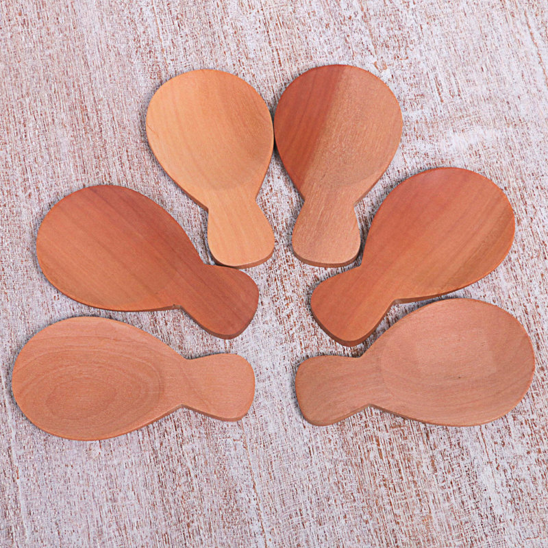Ergin Sugar Spoon