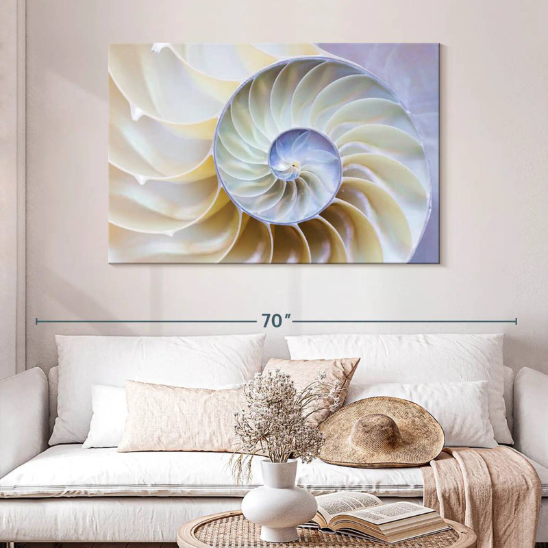 Empty Nautilus Shell, 32" H x 48" W