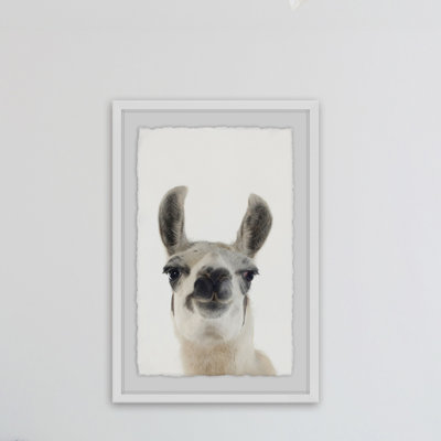 Black and White Llama - Drawing