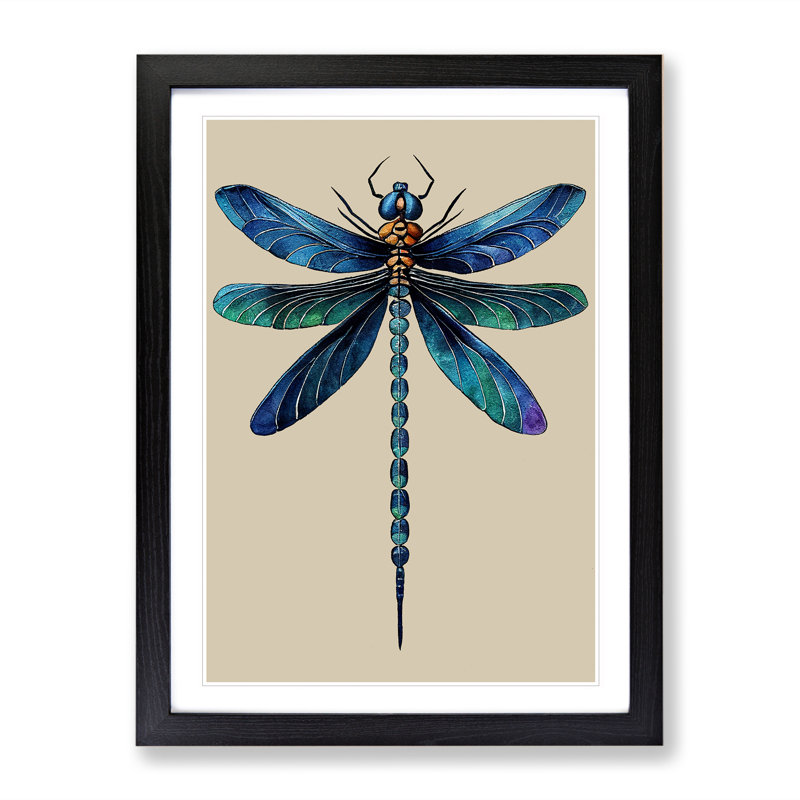 View of a Dragonfly - Framed Print, Black Framed, 46cm H x 34cm W x 2cm D