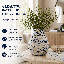 Vase de table Dinita