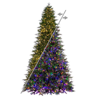  Sapin Sheldon 10mm x 10 "3mm 3200CC