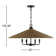 Jared 6 - Light Cone Pendant