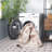 Stantonsburg Performance Machine Washable Oriental Rug-1166677321