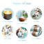 Oils & Scents