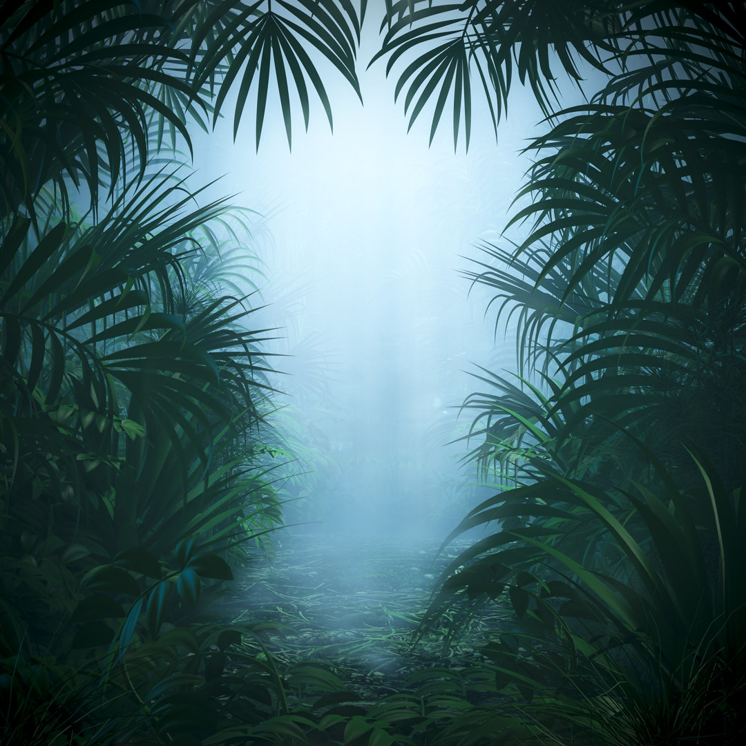 Leinwandbild Misty Jungle Nature Frame