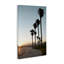  «Clear Day Palm Trees» par Natalie Carpentieri-325908544