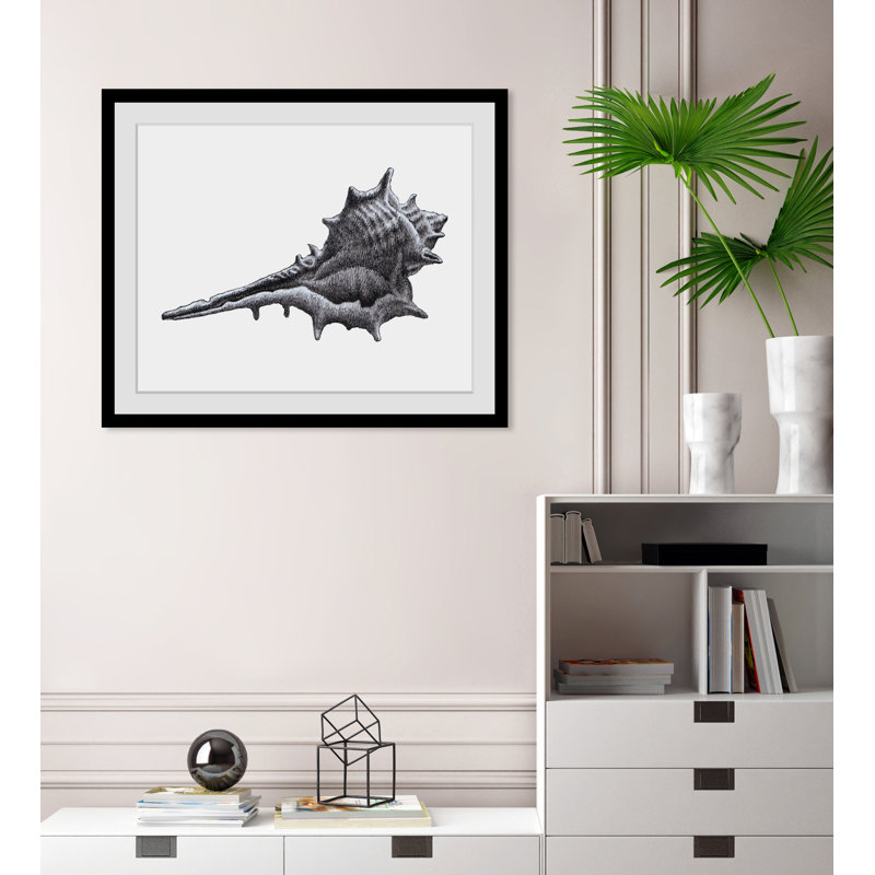 Shell - Single Picture Frame Print