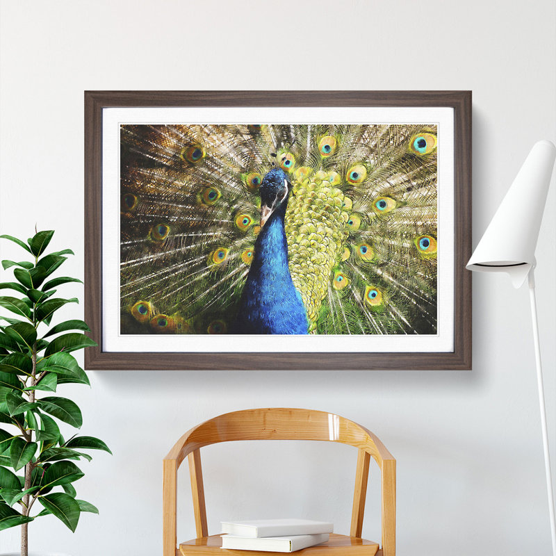 Peacock Vol.2 - Framed Print, 36cm H x 48cm W x 2cm D, Walnut Framed