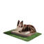 Orthopedic Microfibre Pet Bed-45431229-45408860