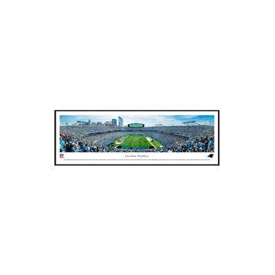 " Carolina Panthers "