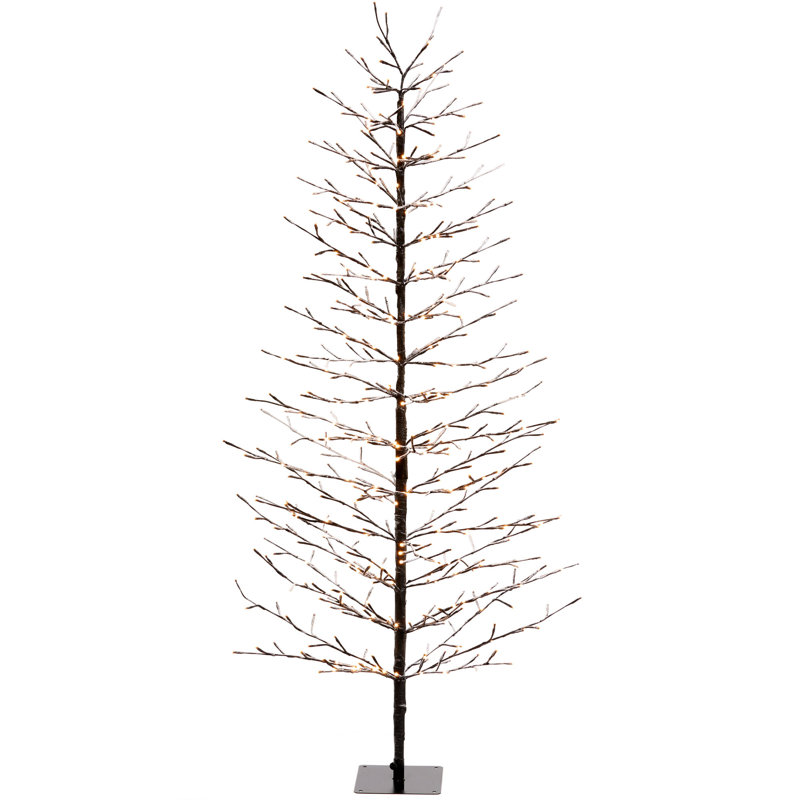 Lighted Trees & Branches