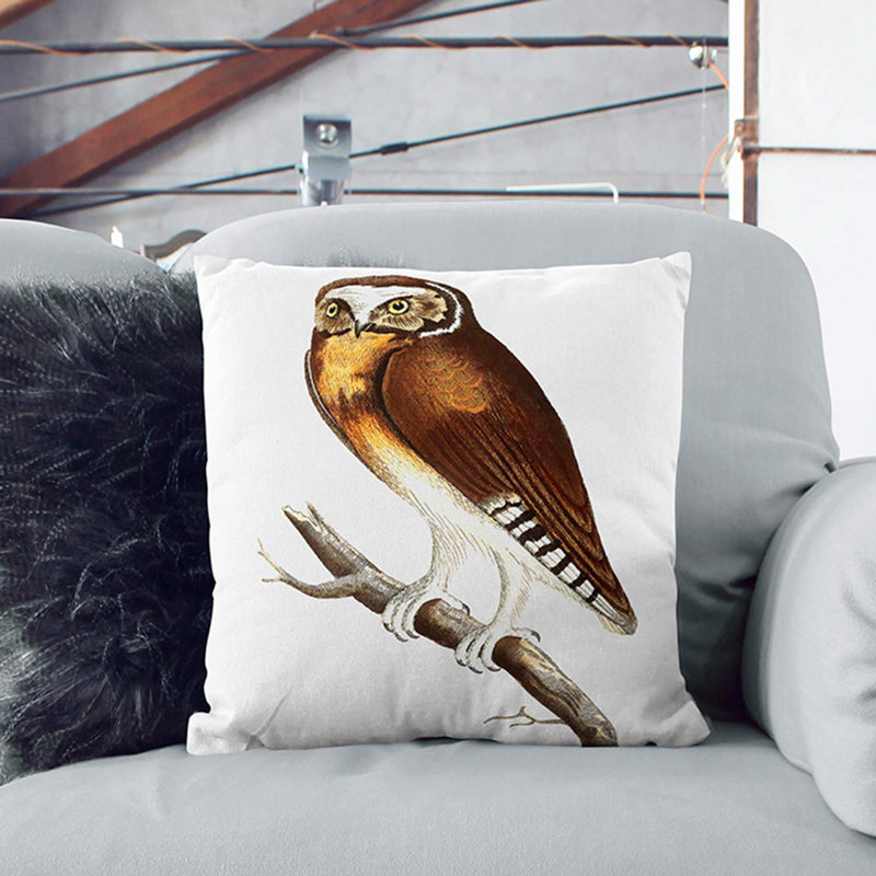 Fronted Owl by George Shaw Cushion with Filling, 55cm H x 55cm W x 20cm D, White