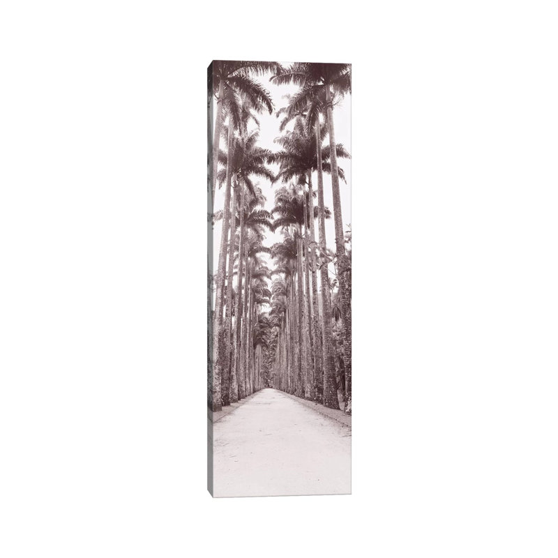 Garden Path, Rio De Janeiro, Brazil by Panoramic Images - Wrapped Canvas Panoramic Print