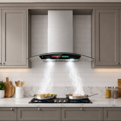 Hotte murale 30 po. 900 pi³ / min en acier inoxydable avec filtre à chicane BRano